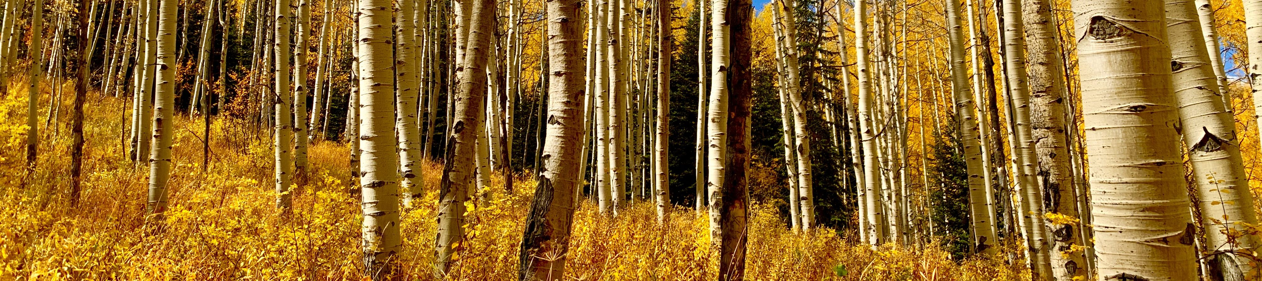 The Stories We&nbsp;Carry