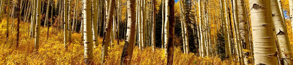 The Stories We&nbsp;Carry