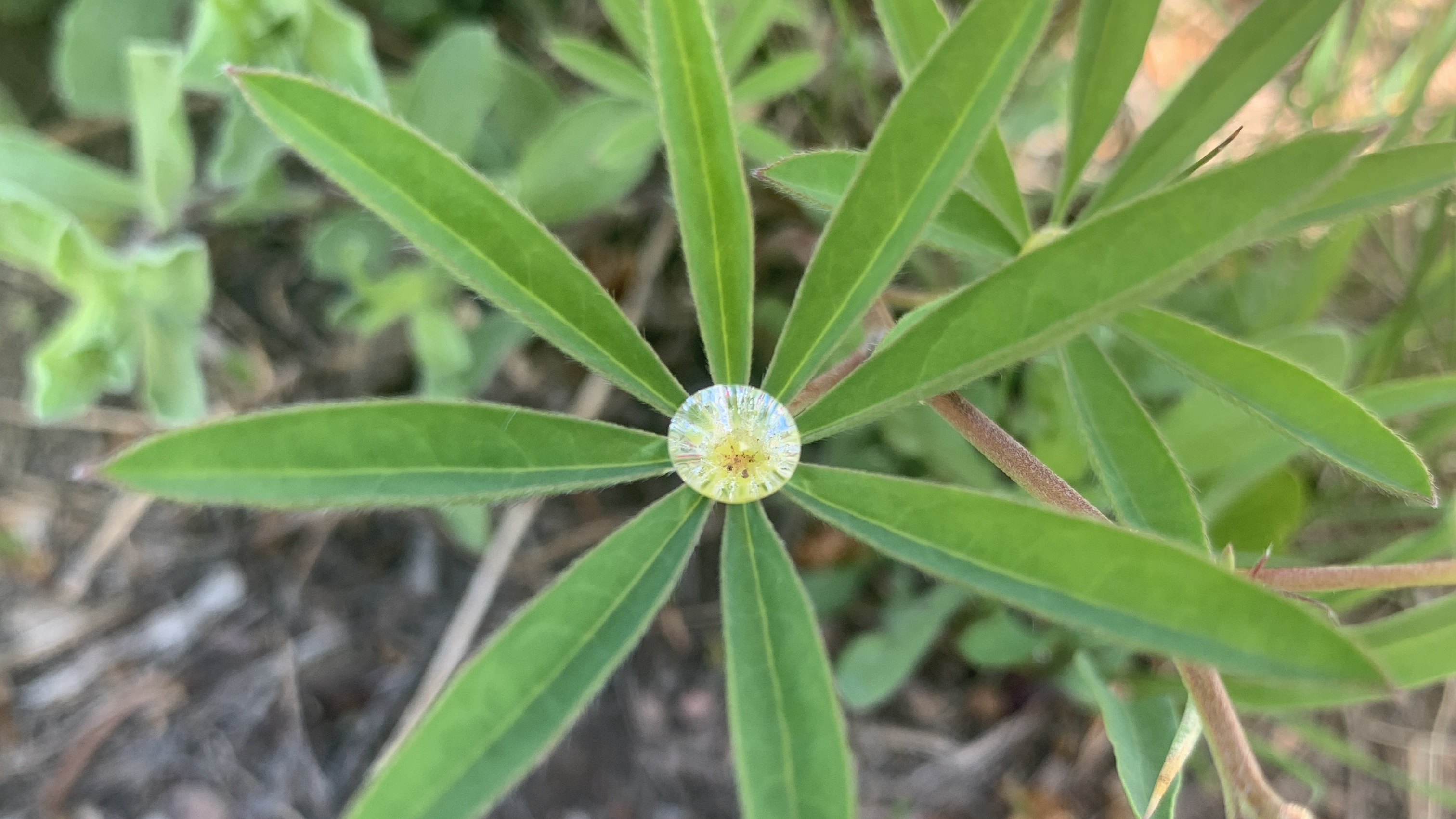 If you don’t use it, you lose&nbsp;it.