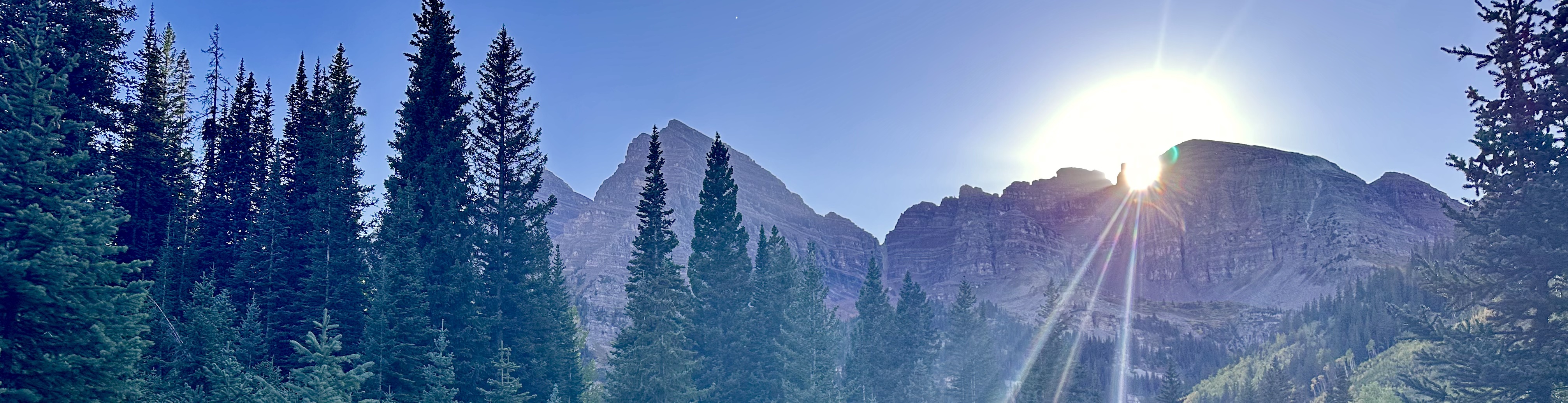 Community of Diamonds